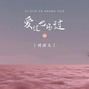 爱过也伤过 - DJ版 by 傅甜儿
