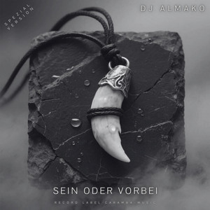 SEIN ODER VORBEI - Spezialversion by DJ ALMAKO