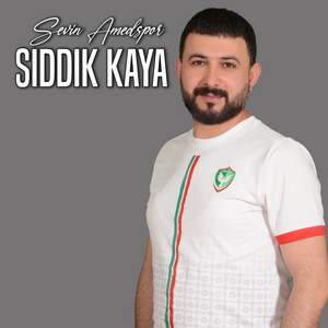 Sıddık Kaya - Sevin Amedspor