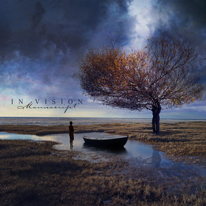 Insainity Side by In Vision
