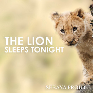 Sebaya Project - The Lion Sleeps Tonight (Acoustic)