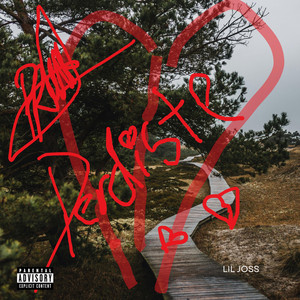 Perdiste by Lil Joss