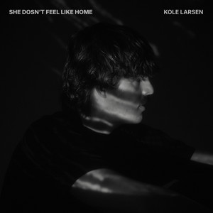 She Doesn't Feel Like Home by Kole Larsen