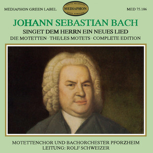 Johann Sebastian Bach: Motetten cover