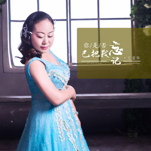 王爱华 - 你是否已把我忘记 (伴奏版)