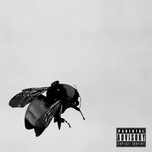 Don't mind by AM17