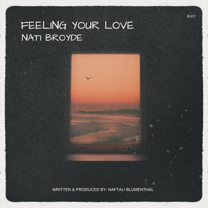 Feeling Your Love by Nati Broyde