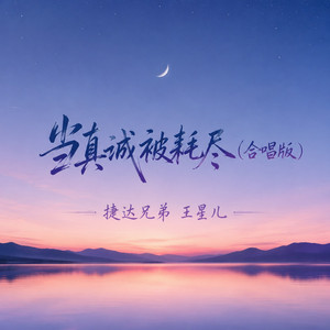 当真诚被耗尽 - 合唱版 by 王星儿, 捷达兄弟