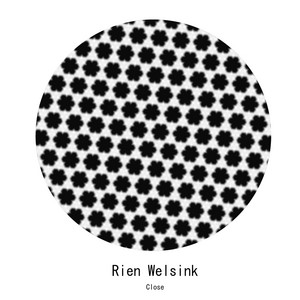 Rien Welsink cover