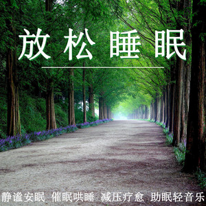 放鬆睡眠 靜謐安眠 催眠哄睡 減壓療愈 助眠輕音樂