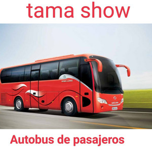 Autobus de pasajeros - 2022 Versión remasterizada