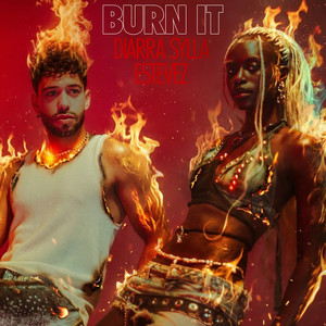 BURN IT by Diarra Sylla, ESTEVEZ