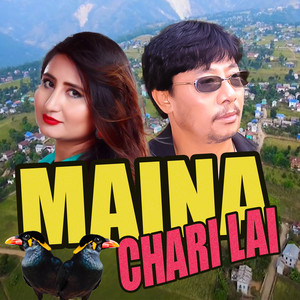 MAINA CHARI LAI