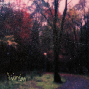 Bulbs (Last October) by Pat's Soundhouse