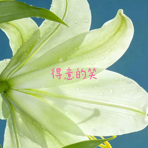 得意的笑 by 落日微笑