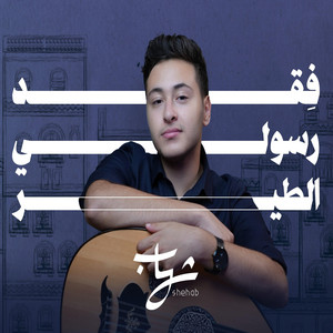 شهاب الشعراني - فقد رسولي الطير