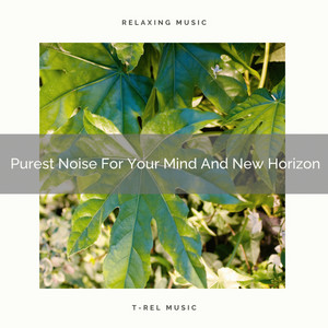 Purest Noise For Your Mind And New Horizon album