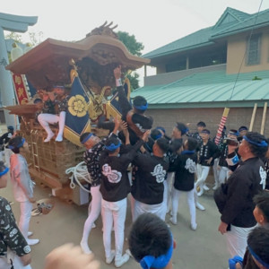 biscuit - Aoihatimaki