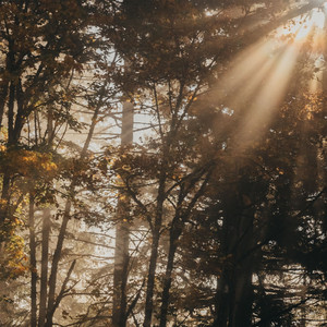secret place by Ajose, ollem