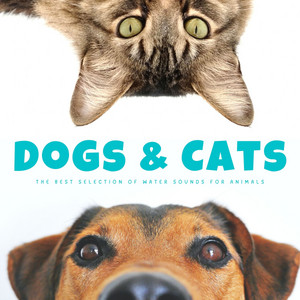 Dogs & Cats: The Best Selection Of Water Sounds For Animals album