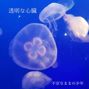 透明な心臓