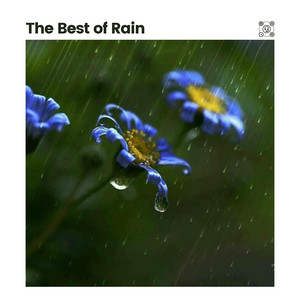 The Best of Rain album
