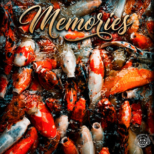 Memories by Kitty