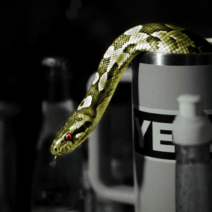 Snakes by Don Bustos, Bizor, INFERAART