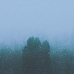Collisions by Whithe, Shipwrecked