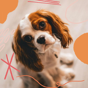 Inspired Background for Well Trained Dogs album