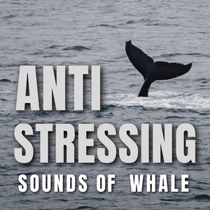 Anti Stressing Sounds of Whale album