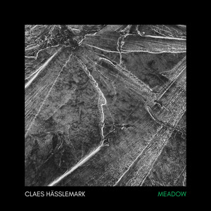 Meadow by Claes Hässlemark