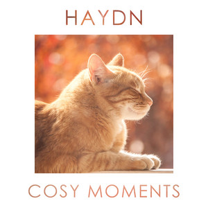 Haydn Cosy Moments album