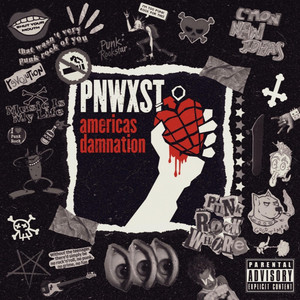 america's damnation by pnwxst
