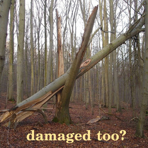 Mf by damage done