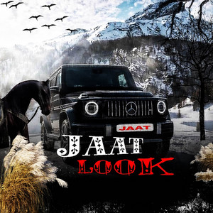 Jaat Look by Neeru Poonia
