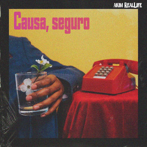 Causa, Seguro by Akim RealLife