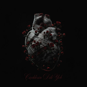 Çiçeklerin Dili Yok by ODY