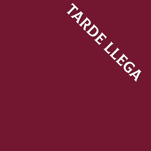 tarde llega by Fuchy puchi