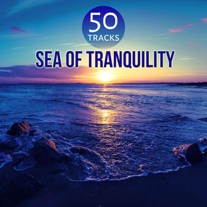 Sea of Tranquility - Music for Deep Sleep Meditation, Healing Sounds for Trouble Sleeping album