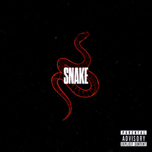SNAKE by Architect The Dreamer