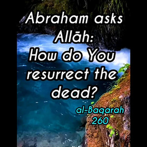 2, Surah Al-Baqarah: 260 by mylordtakemeaway