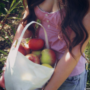 Apple Pie by chehollows