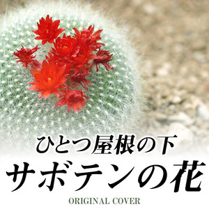 サボテンの花