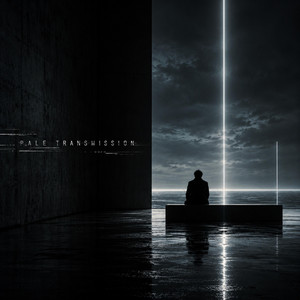 Pale Transmission by post-punk'er