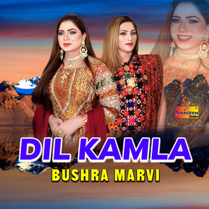 Bushra Marvi - Dil Kamla