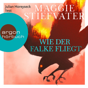 Wie der Falke fliegt [Dreamer-Trilogie, Band 1 (Ungekürzte Lesung)]