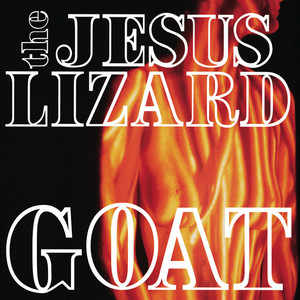 Goat cover