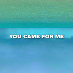 Antonino Kosmes - You Came for Me