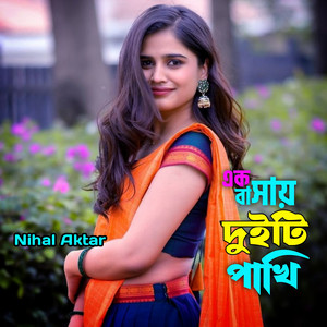 এক বাসায় দুইটি পাখি